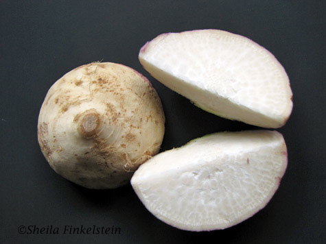 Turnip Bottom and Quarters