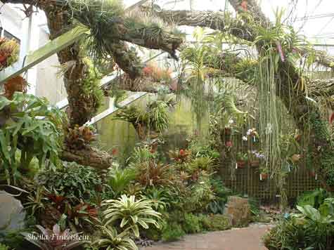 orchid room in Fairchild Tropical Botanic Garden - fine art nature ...